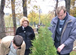 Акція "Посади дерево"